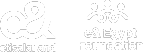 e& Egypt Foundation